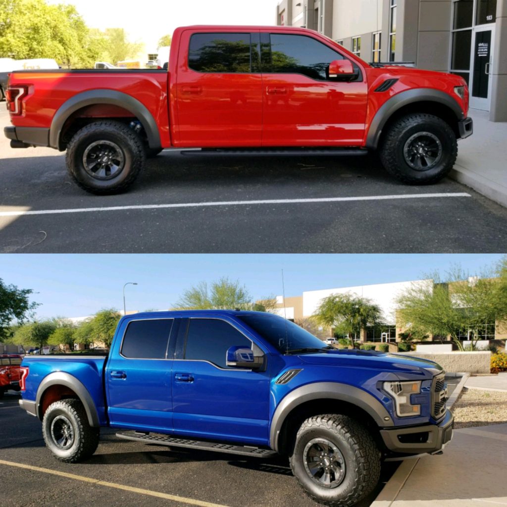 Raptor Red And Blue
