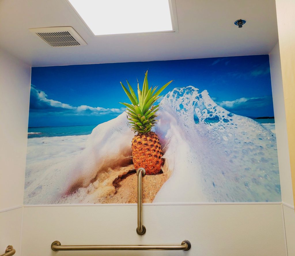 Pineapple Wall Design And Graphics